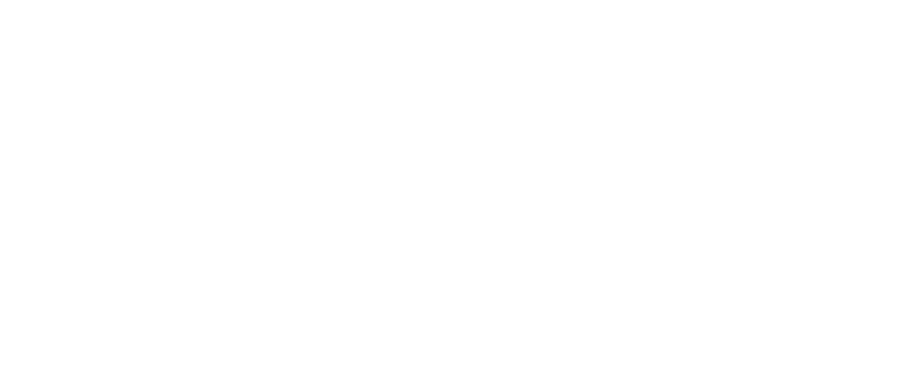 The Toxteth